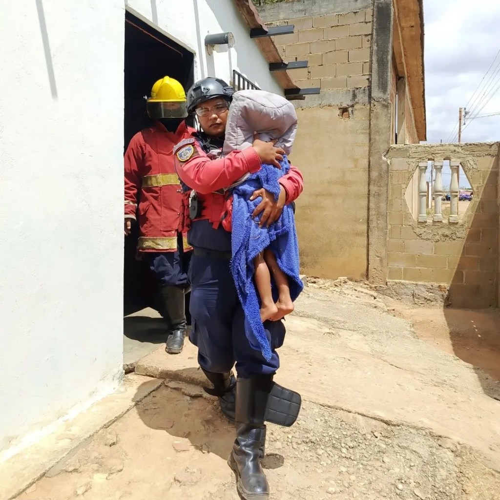 Enjambre de abejas causó alarma y lesiones en el municipio Simón&nbsp;Rodríguez