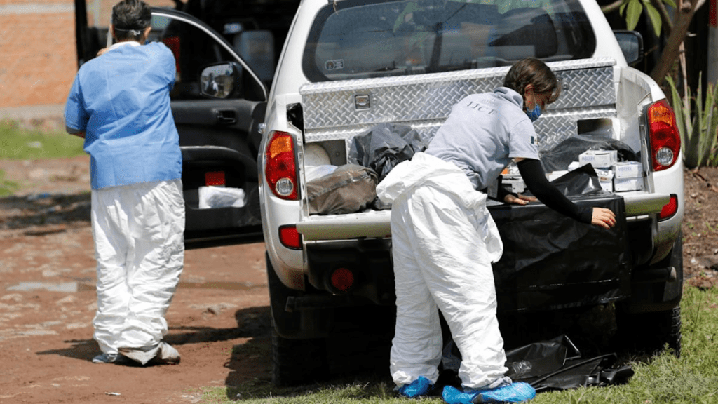 Hallan nueva fosa común en la localidad de Tamaulipas en&nbsp;México