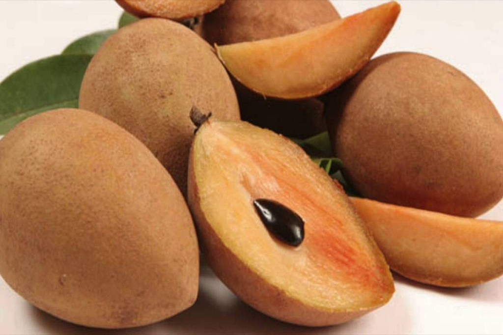 El Níspero: Un fruto que ayuda a mitigar problemas de anemia y desnutrición&nbsp;