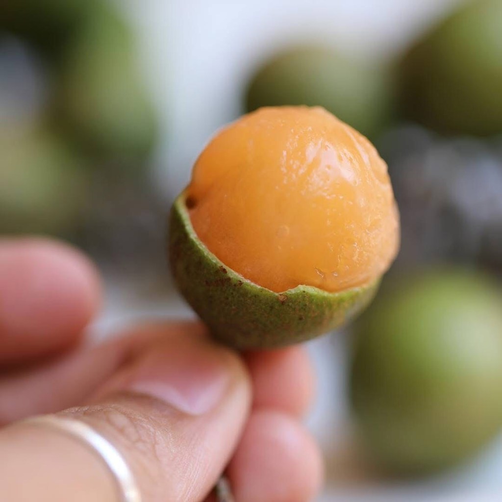 El mamón: una joya tropical con notables beneficios para la salud y versatilidad&nbsp;culinaria