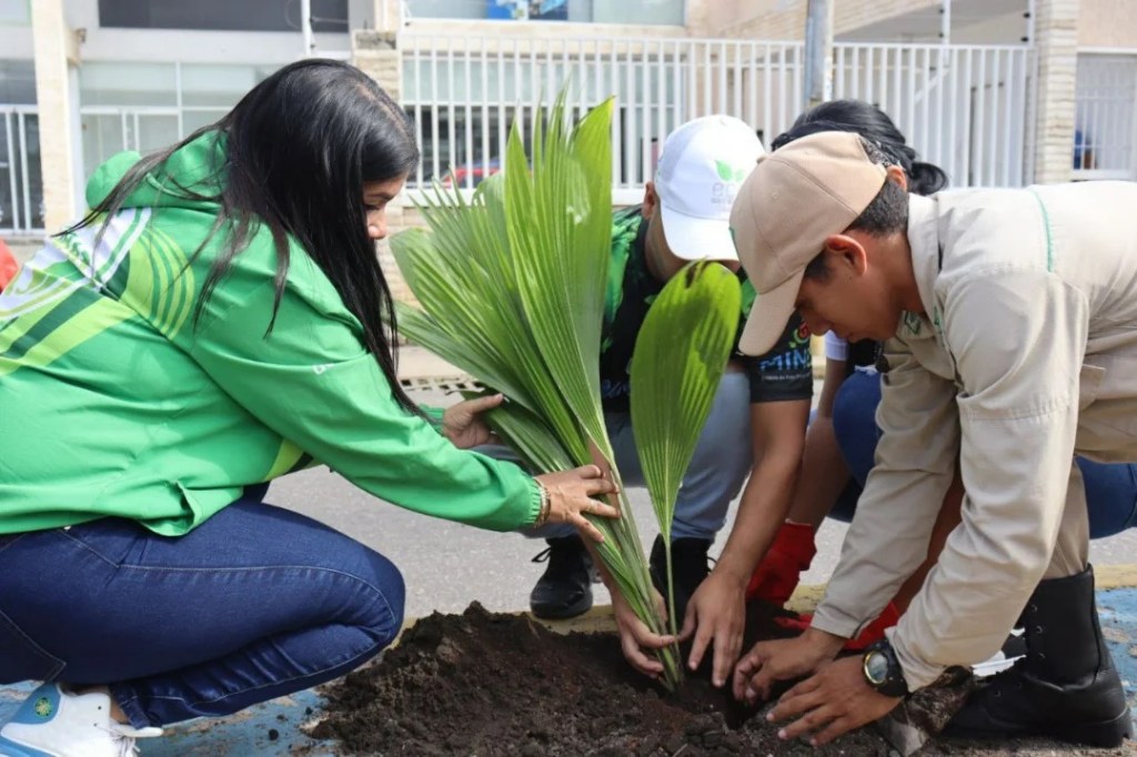 Impulsan el plan Barcelona, ciudad jardín, con la arborización de&nbsp;espacios