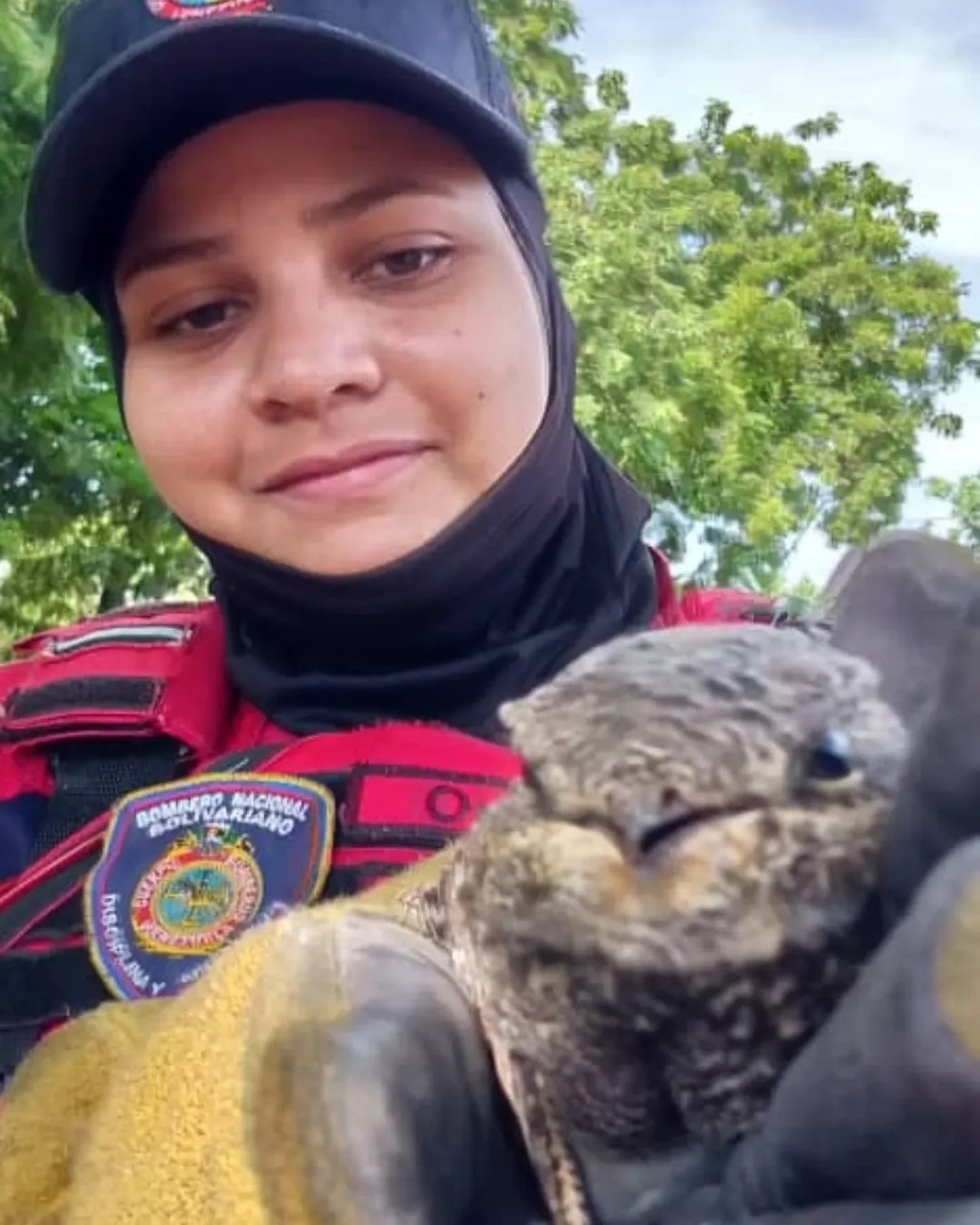 Rescatan ave conocida como Aguaitacamino en&nbsp;Barcelona