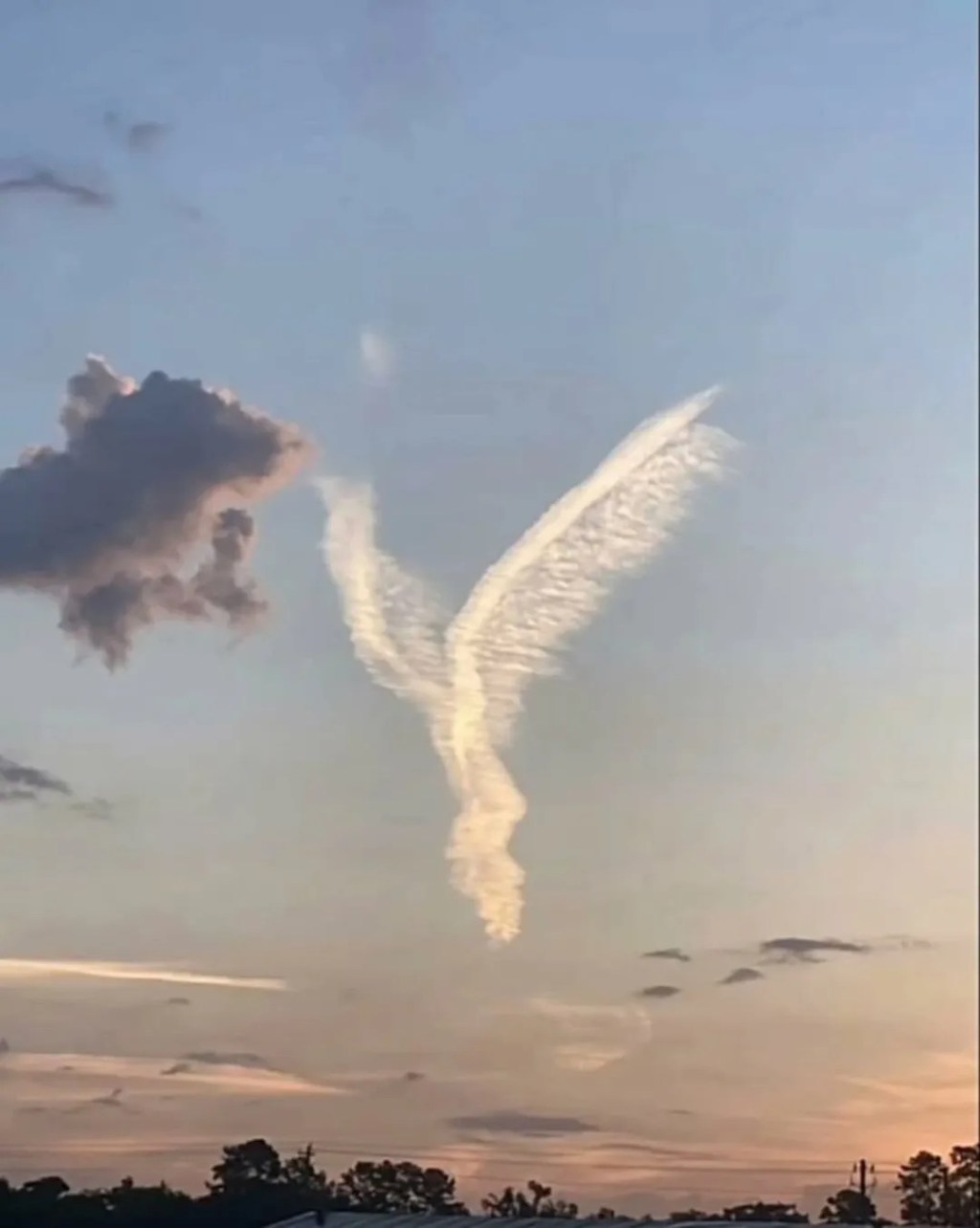 ¿Apareció un Ángel en el Cielo de&nbsp;Houston?