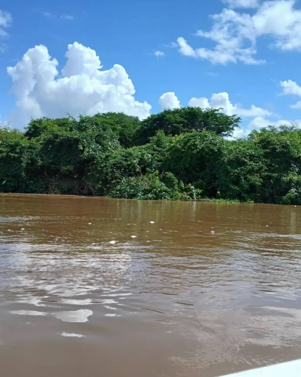 Ante niveles del Río Orinoco  familias son reubicadas preventivamente en&nbsp;Independencia