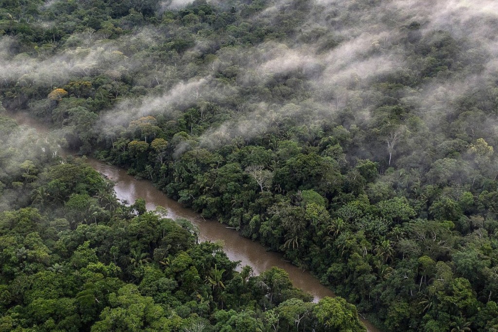 Rescataron a tres personas tras siniestro de aeronave de la FANB en&nbsp;Amazonas