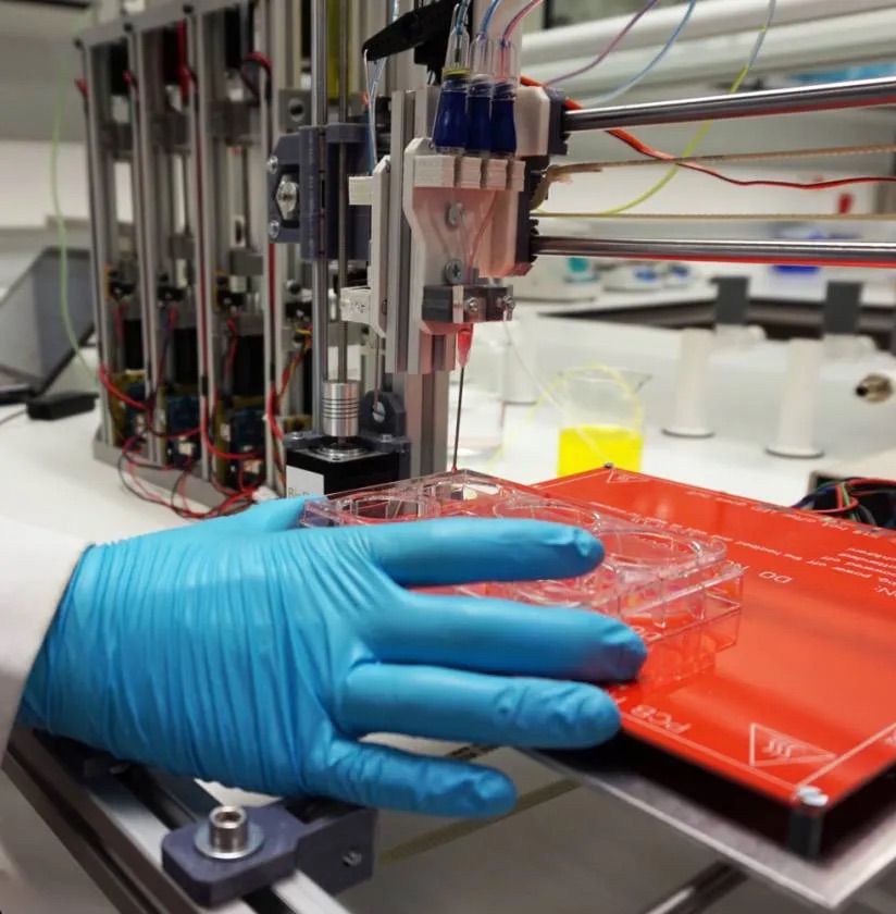 Crearon un gel imprimible en 3D que promete regenerar la piel sin dejar&nbsp;cicatrices