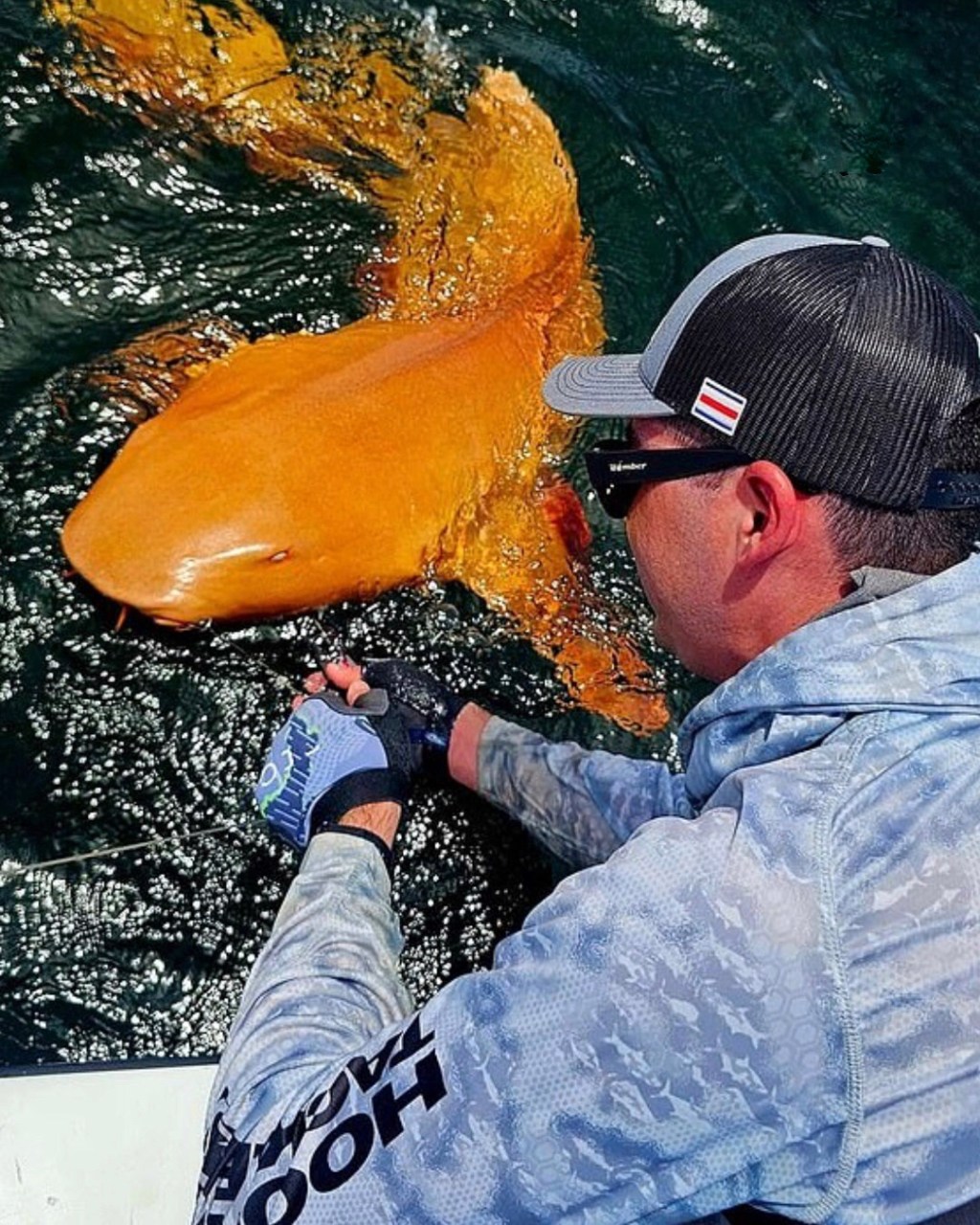 Hallazgo en Costa Rica: Capturaron un tiburón nodriza naranja con ojos&nbsp;blancos