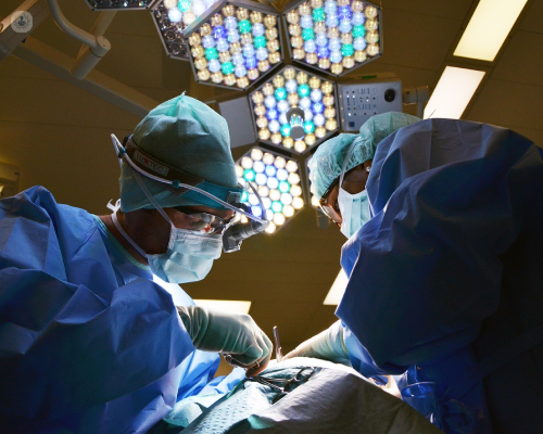 Médicos en China realizaron el primer trasplante de pulmón de cerdo a un&nbsp;humano