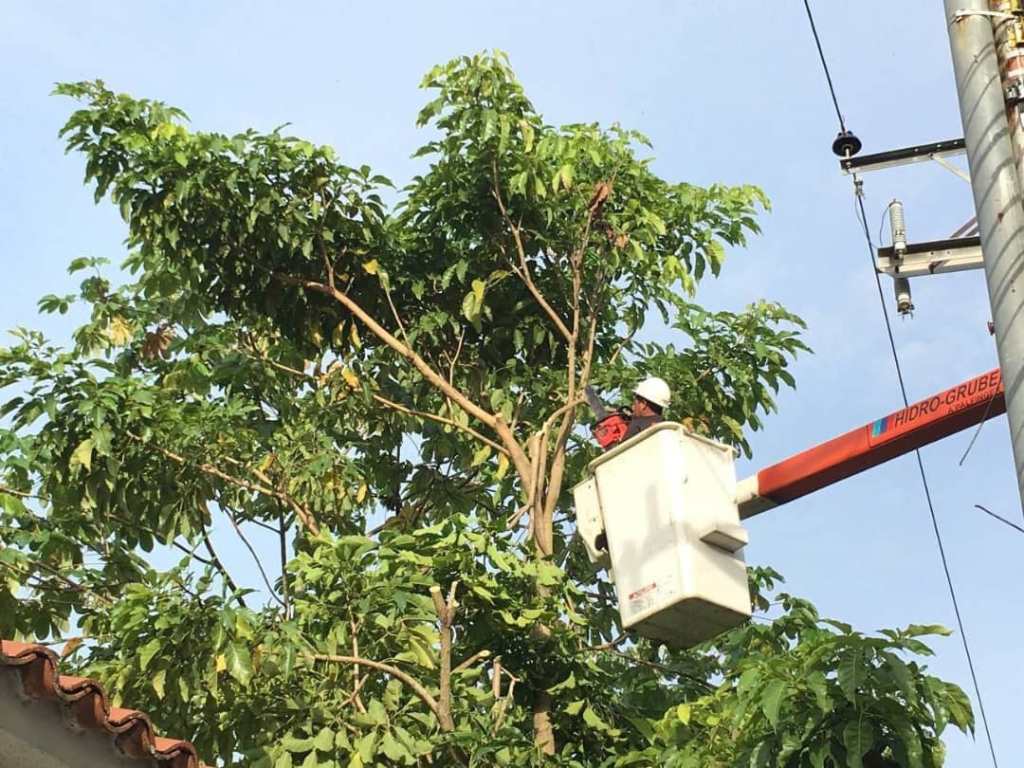 Ocho municipios en Oriente estarán sin electricidad durante 4 horas este miércoles&nbsp;17