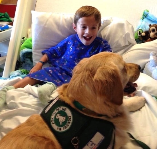 Perroterapia: Un vínculo sanador para personas con afecciones&nbsp;médicas