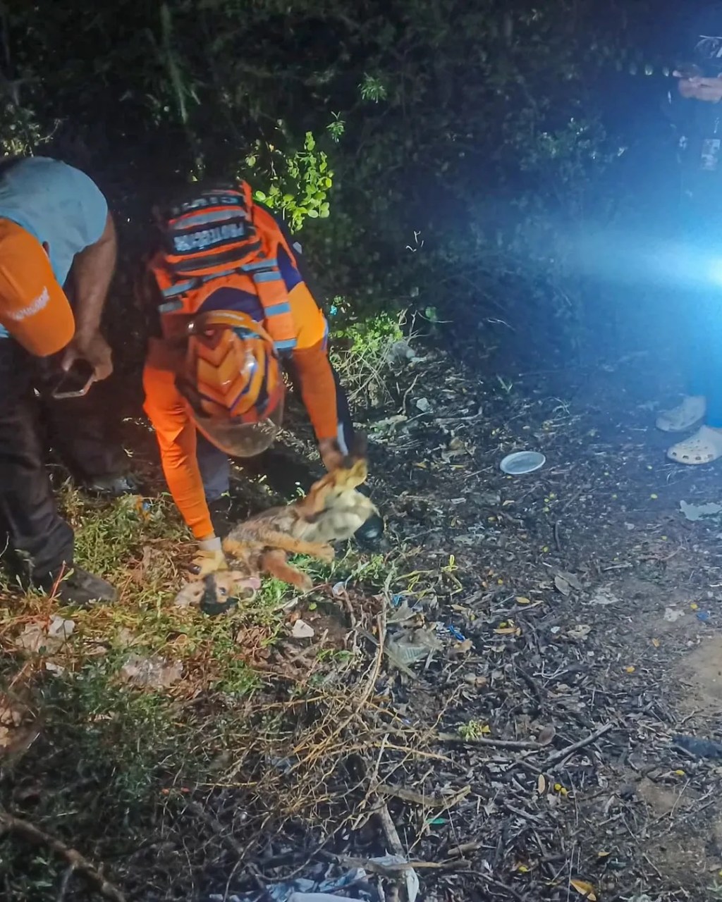 Rescataron a un perro en la Fundación Mendoza de&nbsp;Barcelona