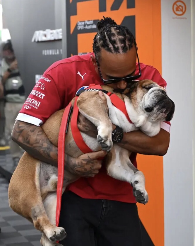 Lewis Hamilton atraviesa un difícil momento personal por la salud de su perro&nbsp;Roscoe