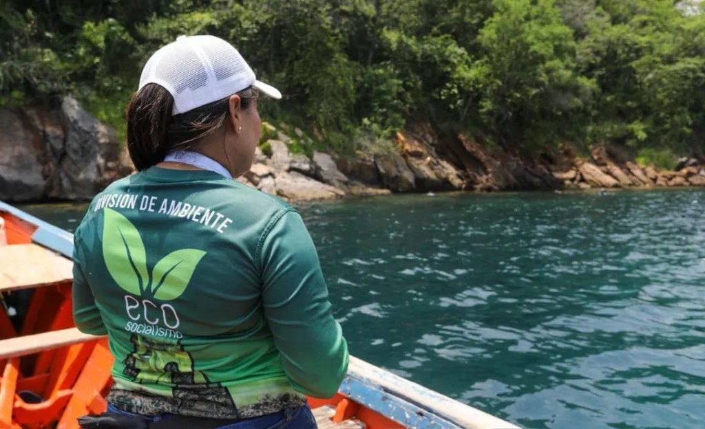 Avanzan en protocolos de erradicación de coral invasor en el estado&nbsp;Anzoátegui