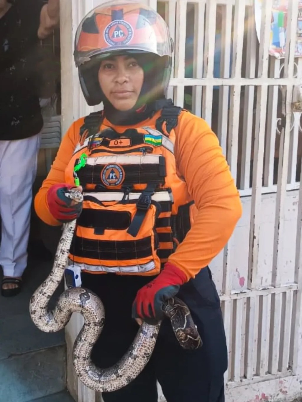 Rescatan a una serpiente en Tronconal III de&nbsp;Barcelona