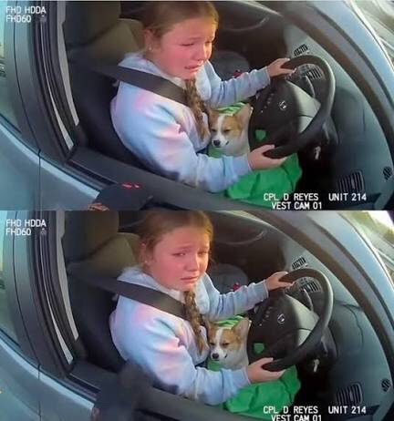 Niña de 12 años manejó el carro de sus padres para salvarle la vida a su&nbsp;cachorro