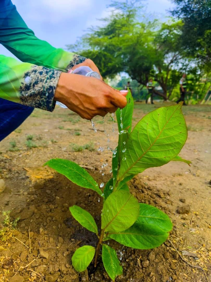 Plantaron 2000 árboles en sexta jornada de&nbsp;plantación