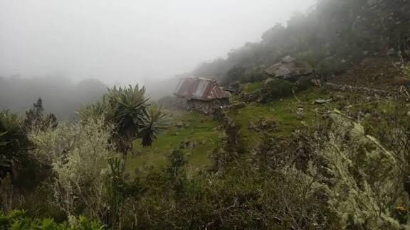 Las temperaturas seguirán descendiendo en el país hasta los 14°C en los próximos&nbsp;meses