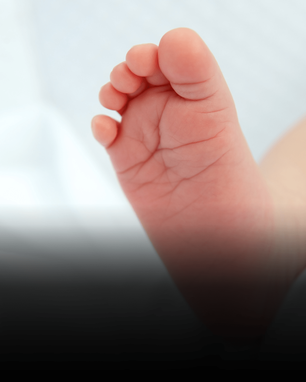 Cuerpo de Bomberos de Caracas rescata a recién nacido abandonado en&nbsp;Antímano