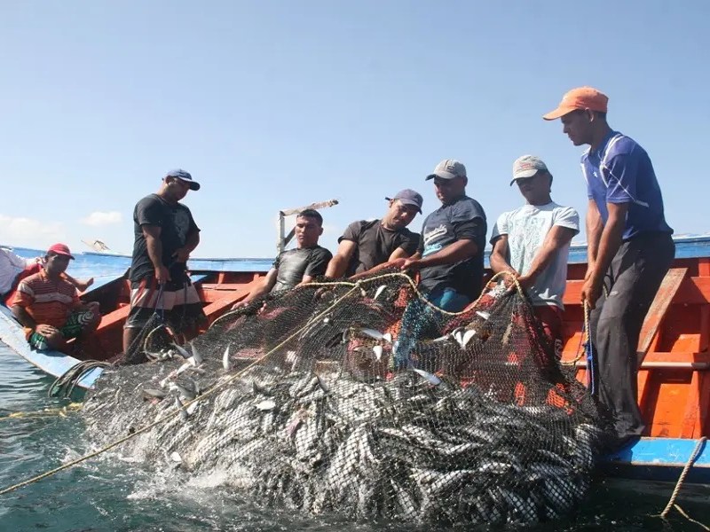 Despliegan búsqueda tras desaparición de tres pescadores en costas de&nbsp;Aragua