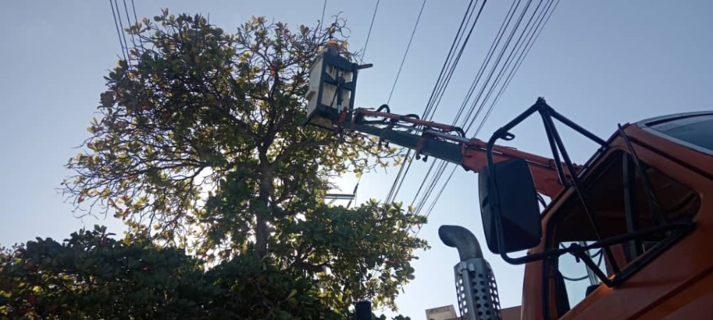 Corpoelec realizó maniobras técnicas en subestación Lechería, con las que garantizan distribución de&nbsp;energía