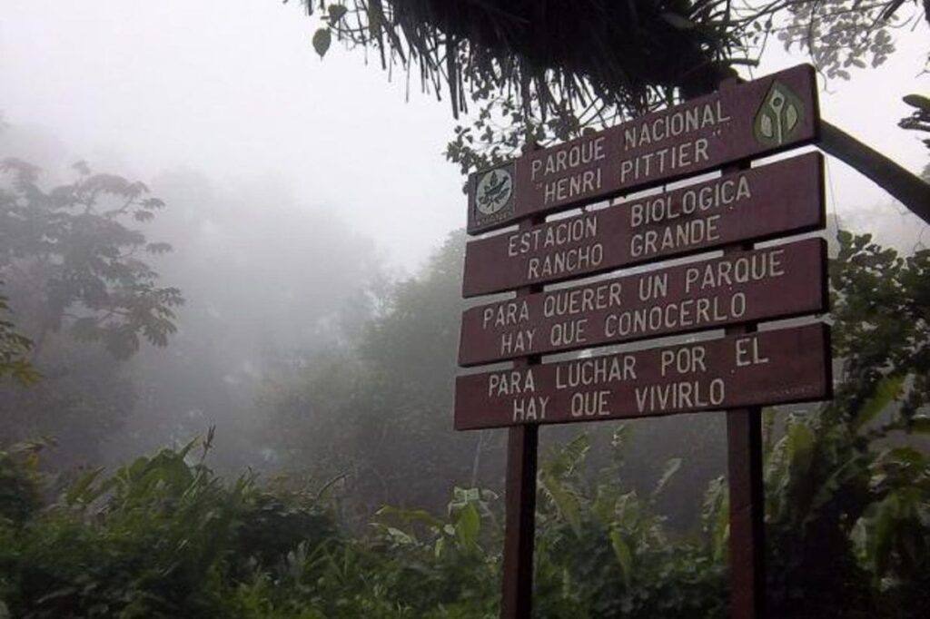 Incendio en el Parque Nacional Henri Pittier afectó 27&nbsp;hectáreas
