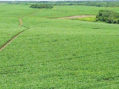 Fedeindustria Anzoátegui con expectativas positivas ante panorama&nbsp;económico