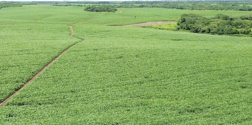 Fedeindustria Anzoátegui con expectativas positivas ante panorama&nbsp;económico