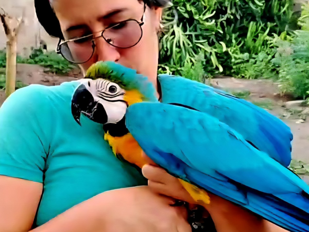 Proteccionista «Panda Jaramillo» pide apoyo para encontrar una casa con terreno en donde poder vivir con los animales&nbsp;rescatados