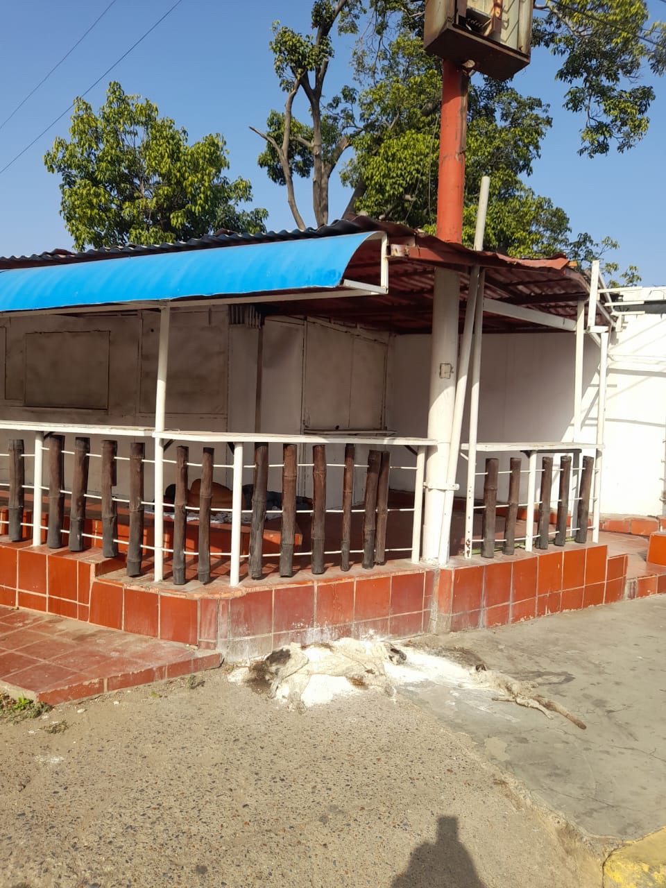 Denuncian foco de contaminación e insalubridad en avenida Bolívar de Puerto La&nbsp;Cruz