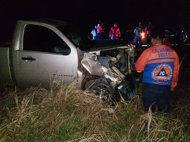 Camioneta impactó contra un búfalo en la vía El Tigre-Ciudad Bolívar: Conductor resultó&nbsp;ileso