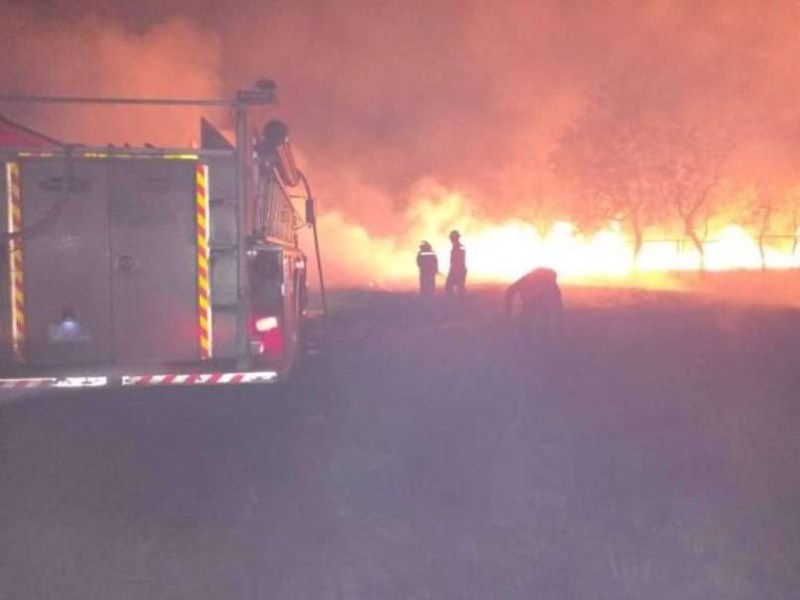 Dos bomberos forestales fallecieron en voraz incendio al sur de&nbsp;Monagas