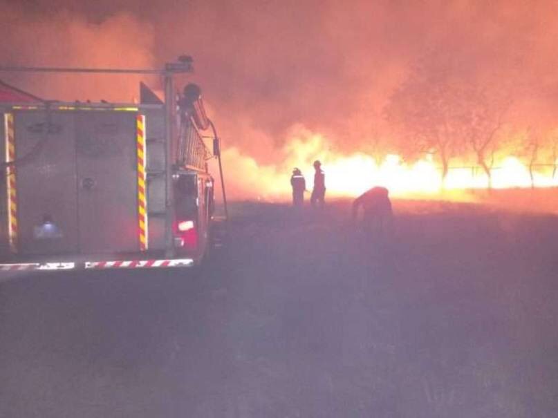 Dos bomberos forestales fallecieron en voraz incendio al sur de&nbsp;Monagas