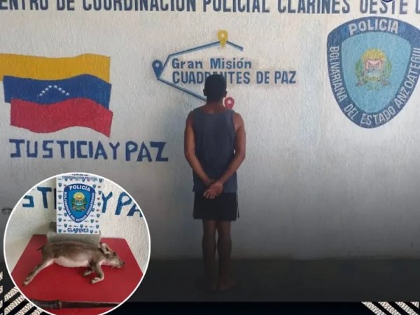 Detenido hombre por hurtar y sacrificar un cerdo en San Juan de&nbsp;Capistrano