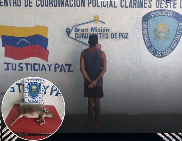 Detenido hombre por hurtar y sacrificar un cerdo en San Juan de&nbsp;Capistrano