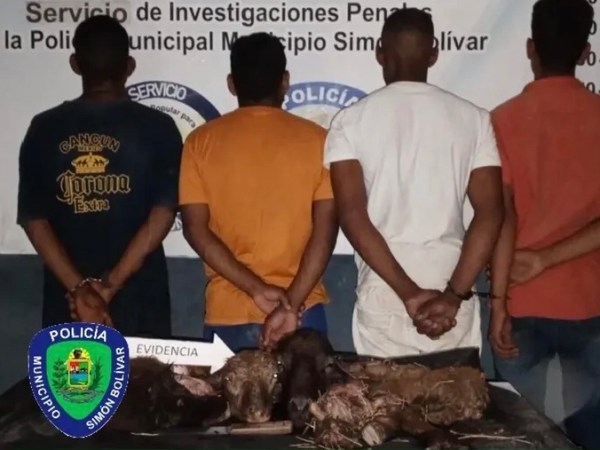 Desmantelada banda dedicada al abigeato en el sector&nbsp;Naricual