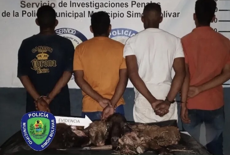 Desmantelada banda dedicada al abigeato en el sector&nbsp;Naricual