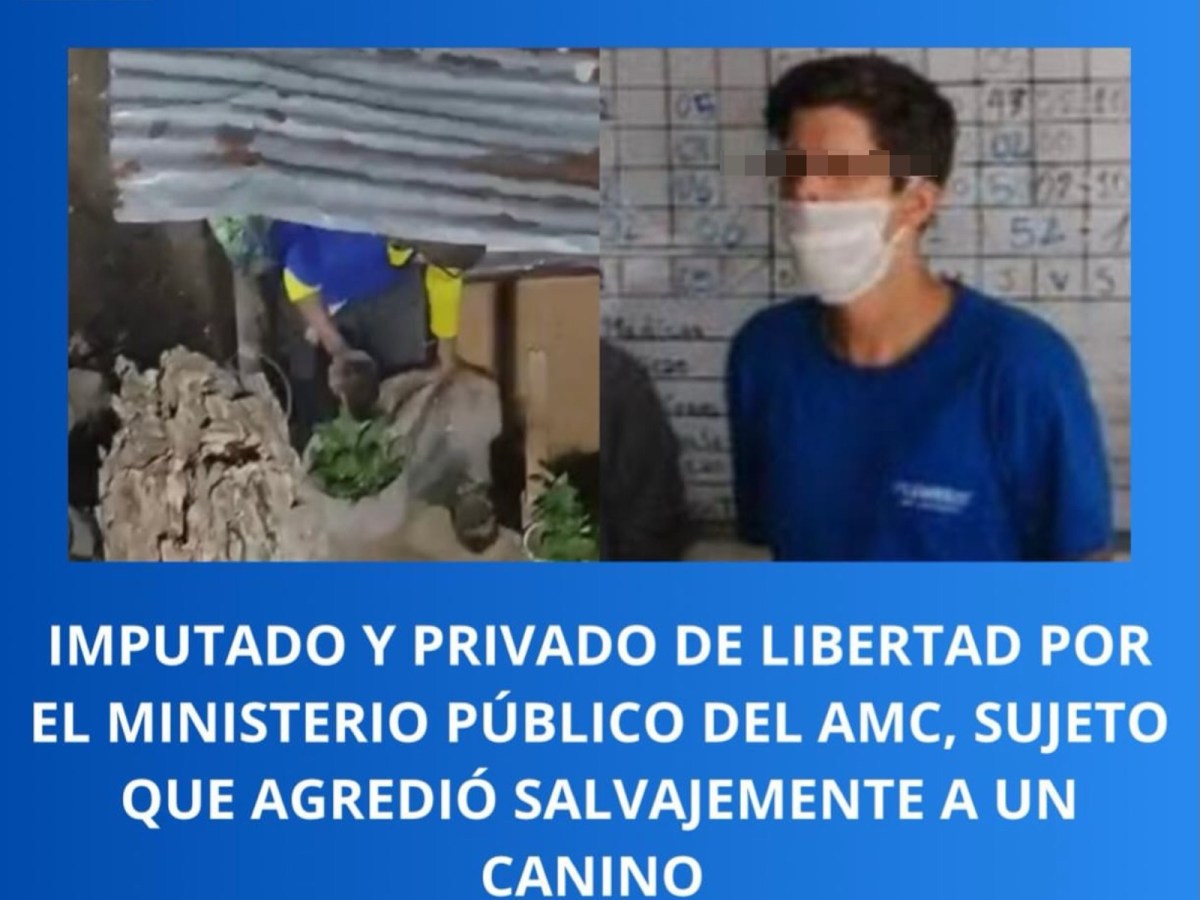 Detenido un sujeto por agredir salvajemente a un perrito en&nbsp;Caracas