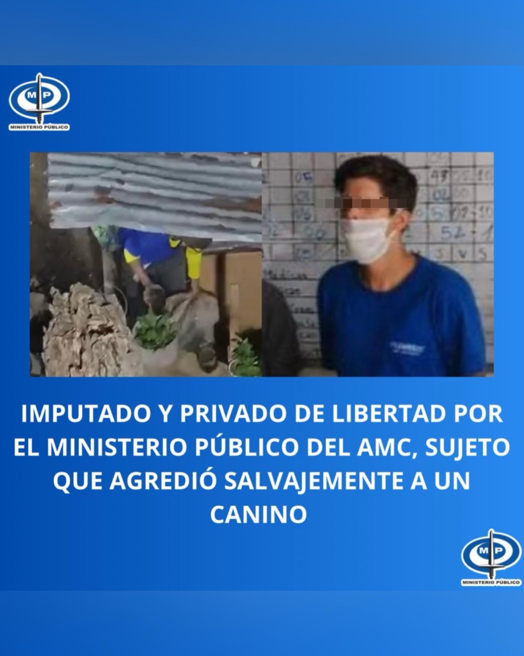 Detenido un sujeto por agredir salvajemente a un perrito en&nbsp;Caracas