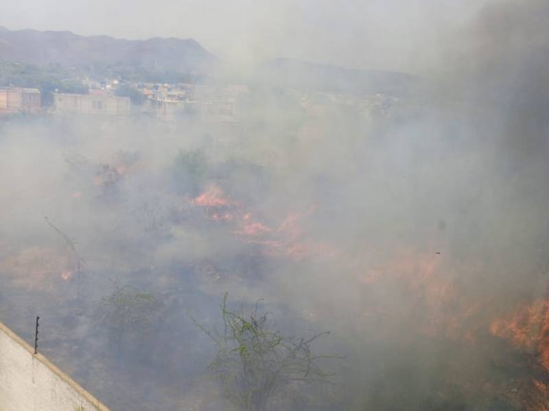Vecinos de las Aves Suite en Barcelona tuvieron que salir de sus viviendas por incendio&nbsp;forestal