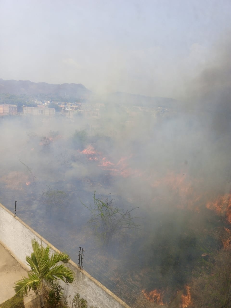 Vecinos de las Aves Suite en Barcelona tuvieron que salir de sus viviendas por incendio forestal