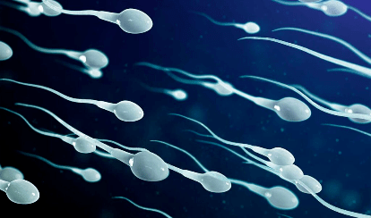 La ciencia recomienda una eyaculación diaria para evitar el daño genético de los espermatozoides