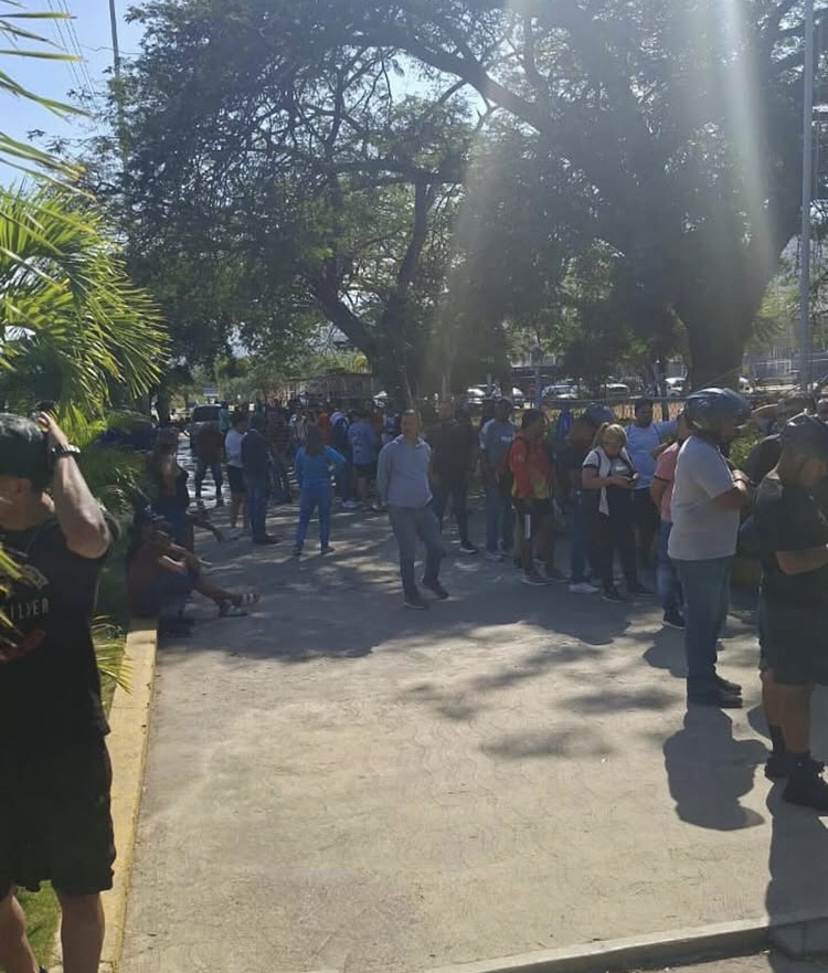 Largas colas en el Luis Ramos: La fanaticada de Marinos no se quiere perder el retorno a casa