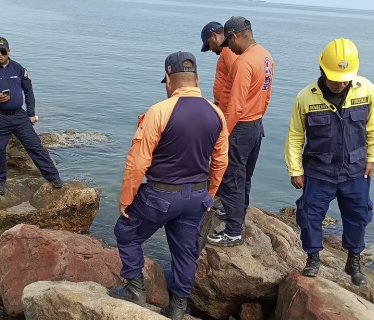 Hallaron cadáver de una mujer en el Paseo de la Cruz y el Mar de Puerto ...