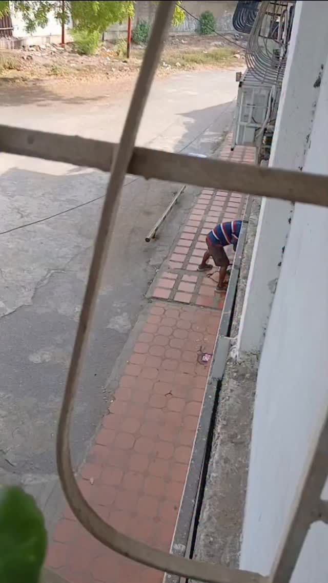 video captó intento de robo a plena luz del día en Boyacá