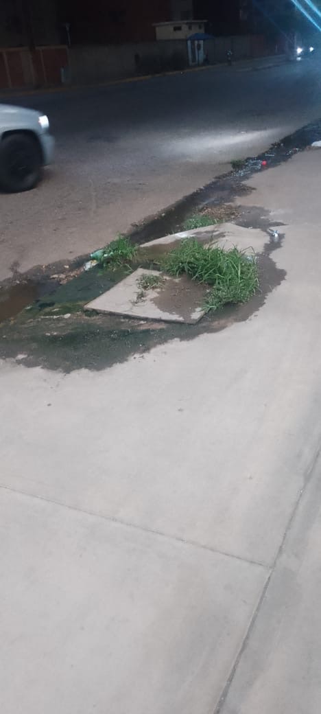 Vecinos de Pascal denuncian contaminación por bote de aguas servidas desde hace más de un&nbsp;año