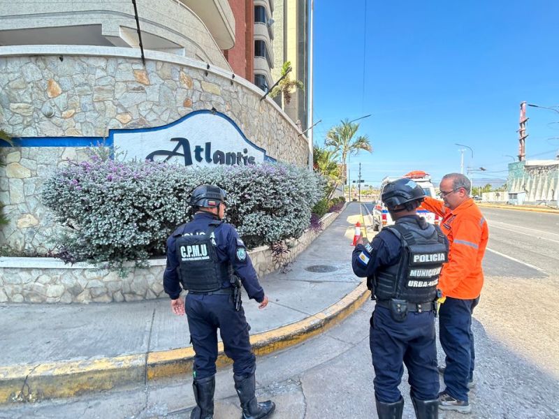 Protección Civil: No son una amenaza abejas reportadas en&nbsp;Lechería