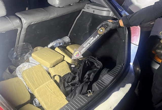 Incautaron 32 kilos de presunta marihuana en El&nbsp;Tigre