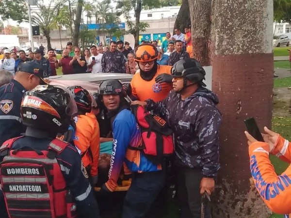 En El Tigre: Falleció mujer que chocó contra un árbol en la Plaza&nbsp;Bolívar