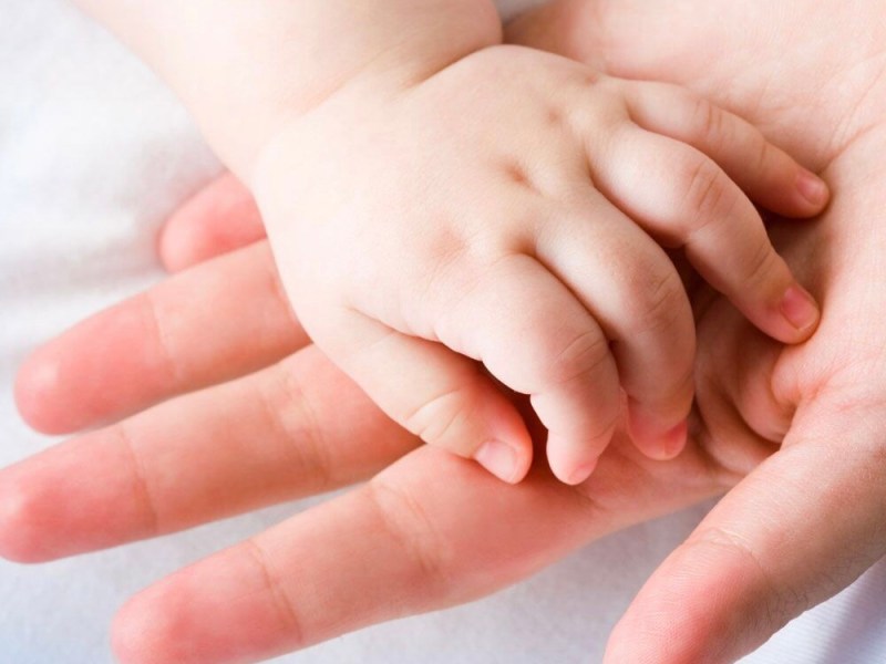 Bebé falleció tras colapsar una pared de su casa en&nbsp;Falcón&nbsp;