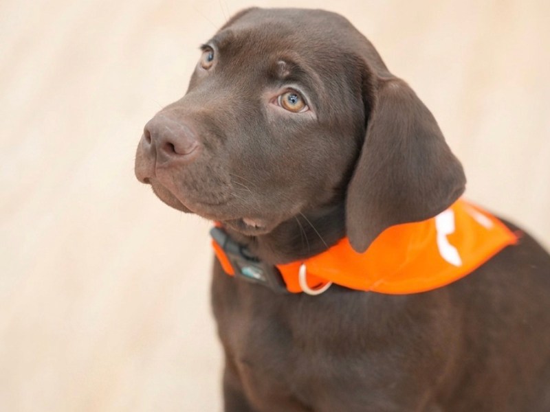 Implementan innovador método de canoterapia para ayudar a víctimas de violencia en&nbsp;Barcelona